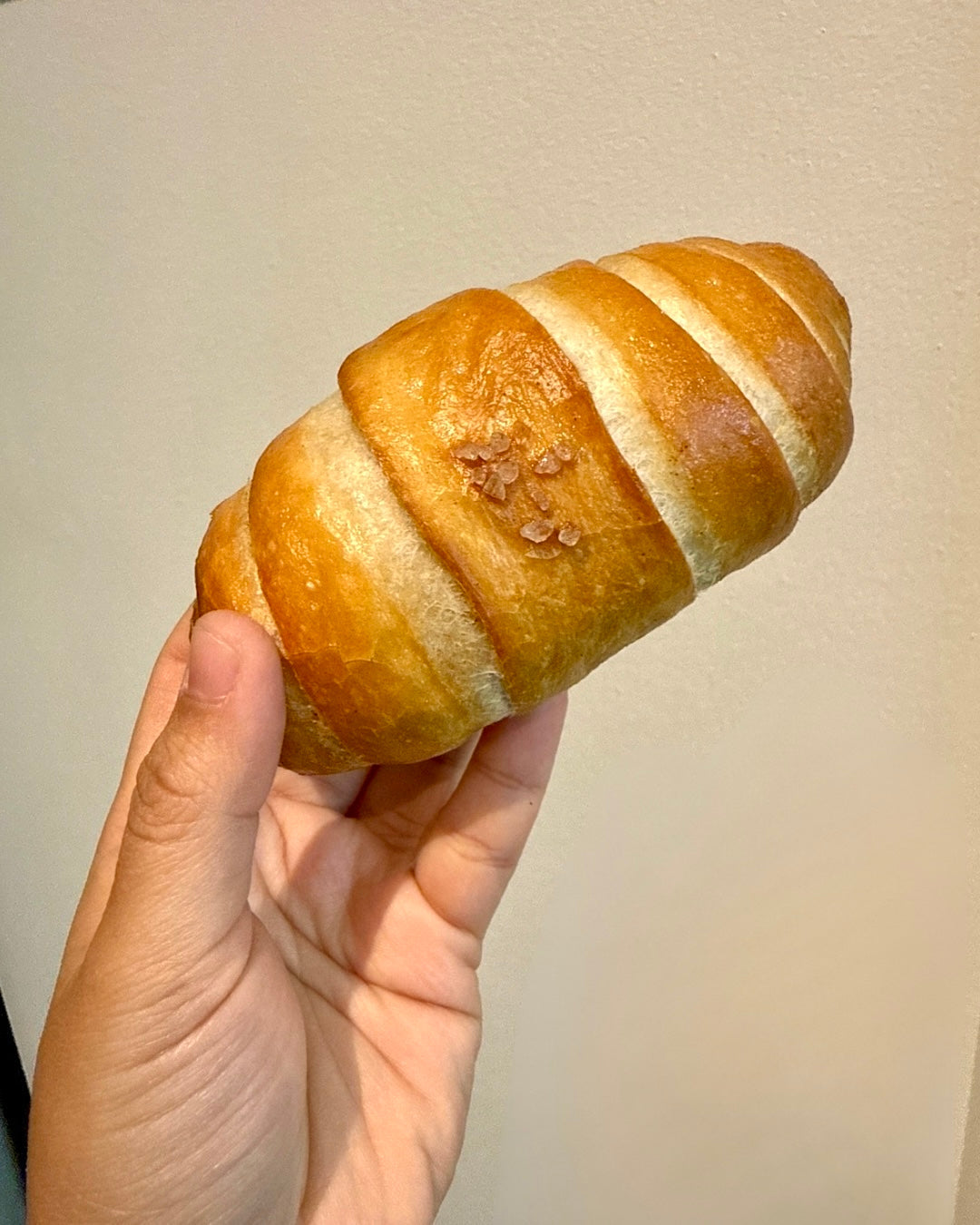 Seasalt Butter Rolls (Shiopan)